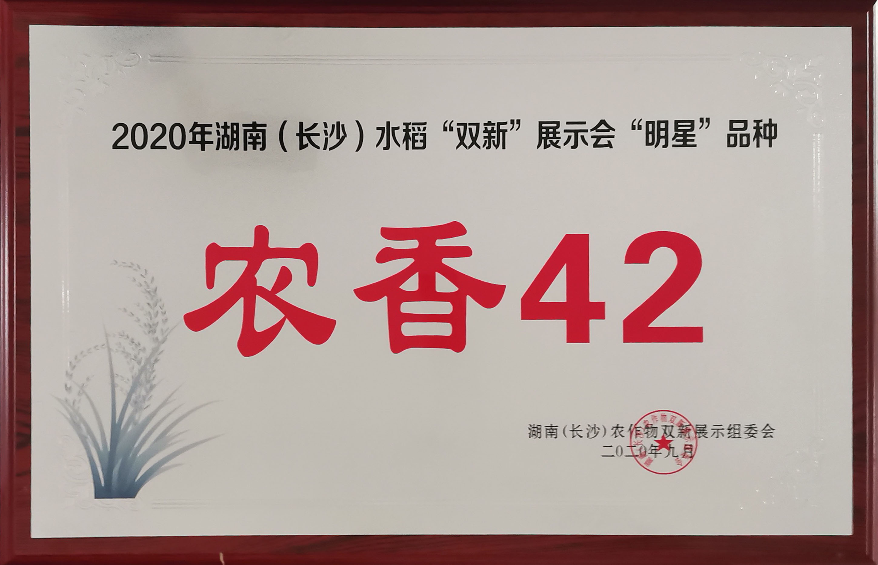 2020年湖南（长沙）水稻“双新”展示会“明星”品种（农香42）